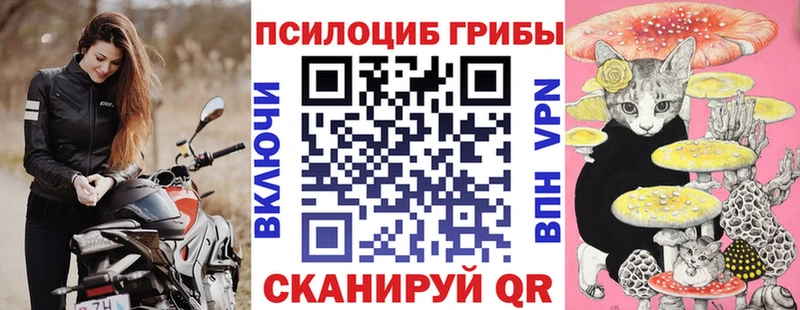 Псилоцибиновые грибы Magic Shrooms  Правдинск 