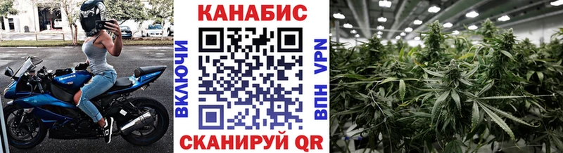 Бошки марихуана план Правдинск